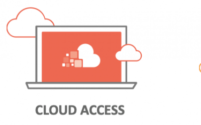 cloud or on premises solutions to work remotely